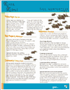 River Ridge Fall05 Newsletter